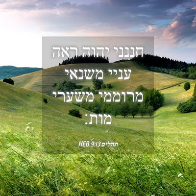 Picture 04 - תהלים 9:13 HEB - חננני יהוה ראה עניי משנאי - Bible Verse Picture