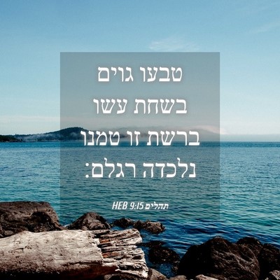 Picture 04 - תהלים 9:15 HEB - טבעו גוים בשחת עשו ברשת זו - Bible Verse Picture
