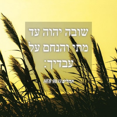 Picture 04 - תהלים 90:13 HEB - שובה יהוה עד מתי והנחם על - Bible Verse Picture
