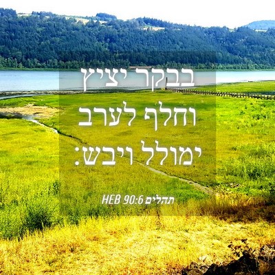 Picture 04 - תהלים 90:6 HEB - בבקר יציץ וחלף לערב ימולל - Bible Verse Picture