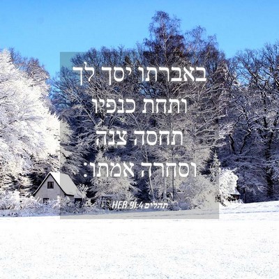 Picture 04 - תהלים 91:4 HEB - באברתו יסך לך ותחת כנפיו - Bible Verse Picture