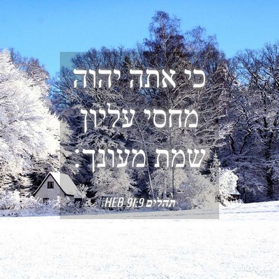 Picture 04 - תהלים 91:9 HEB - כי אתה יהוה מחסי עליון שמת - Bible Verse Picture