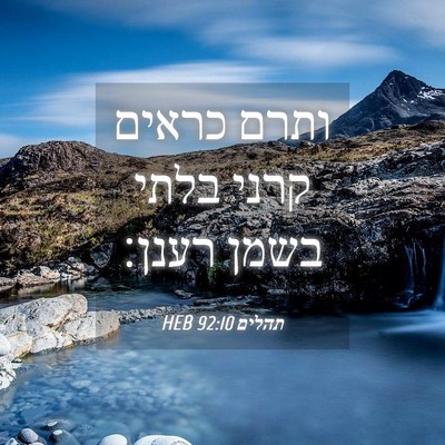 Picture 04 - תהלים 92:10 HEB - ותרם כראים קרני בלתי בשמן - Bible Verse Picture