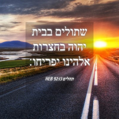 Picture 04 - תהלים 92:13 HEB - שתולים בבית יהוה בחצרות - Bible Verse Picture