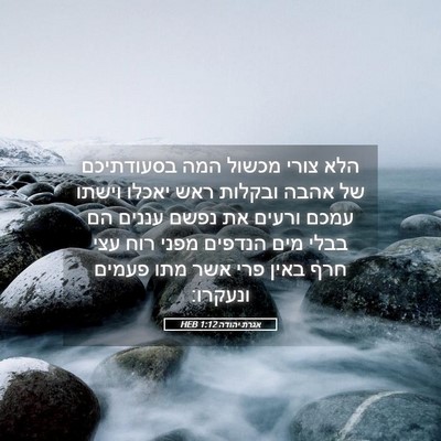 Picture 05 - אגרת יהודה 1:12 HEB - הלא צורי מכשול המה - Bible Verse Picture