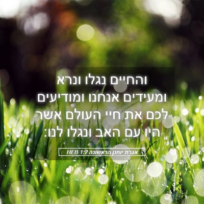Picture 05 - אגרת יוחנן הראשונה 1:2 HEB - והחיים נגלו ונרא ומעידים - Bible Verse Picture