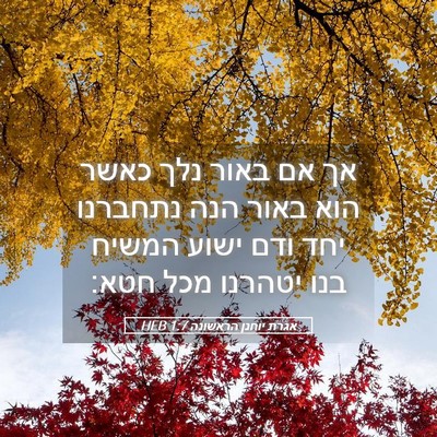 Picture 05 - אגרת יוחנן הראשונה 1:7 HEB - אך אם באור נלך כאשר הוא - Bible Verse Picture