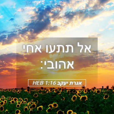 Picture 05 - אגרת יעקב 1:16 HEB - אל תתעו אחי - Bible Verse Picture