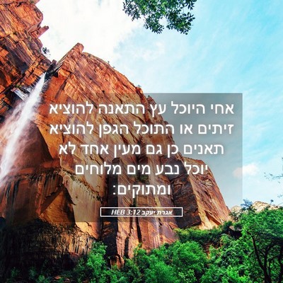 Picture 05 - אגרת יעקב 3:12 HEB - אחי היוכל עץ התאנה להוציא - Bible Verse Picture