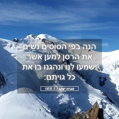 Picture 05 - אגרת יעקב 3:3 HEB - הנה בפי הסוסים נשים את הרסן - Bible Verse Picture