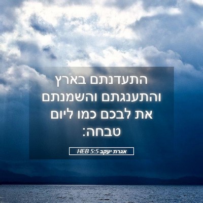 Picture 05 - אגרת יעקב 5:5 HEB - התעדנתם בארץ והתענגתם - Bible Verse Picture
