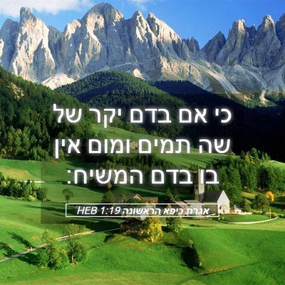 Picture 05 - אגרת כיפא הראשונה 1:19 HEB - כי אם בדם יקר של שה תמים - Bible Verse Picture