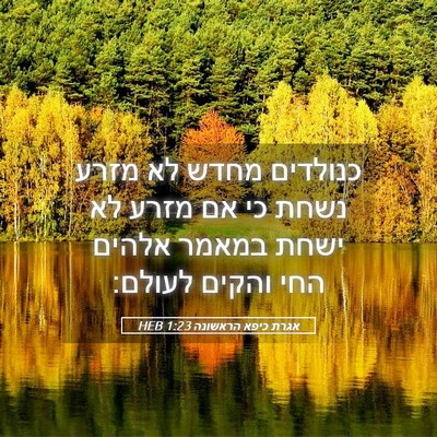Picture 05 - אגרת כיפא הראשונה 1:23 HEB - כנולדים מחדש לא מזרע נשחת - Bible Verse Picture