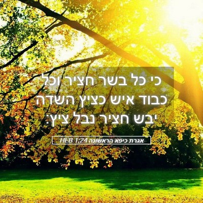 Picture 05 - אגרת כיפא הראשונה 1:24 HEB - כי כל בשר חציר וכל כבוד איש - Bible Verse Picture
