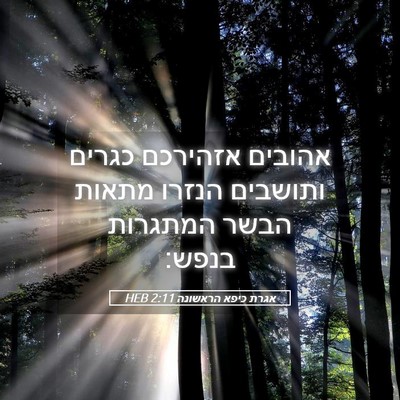 Picture 05 - אגרת כיפא הראשונה 2:11 HEB - אהובים אזהירכם כגרים - Bible Verse Picture