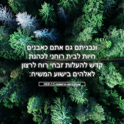 Picture 05 - אגרת כיפא הראשונה 2:5 HEB - ונבניתם גם אתם כאבנים חיות - Bible Verse Picture
