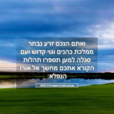 Picture 05 - אגרת כיפא הראשונה 2:9 HEB - ואתם הנכם זרע נבחר ממלכת - Bible Verse Picture