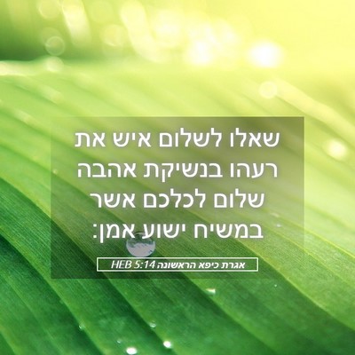 Picture 05 - אגרת כיפא הראשונה 5:14 HEB - שאלו לשלום איש את רעהו - Bible Verse Picture