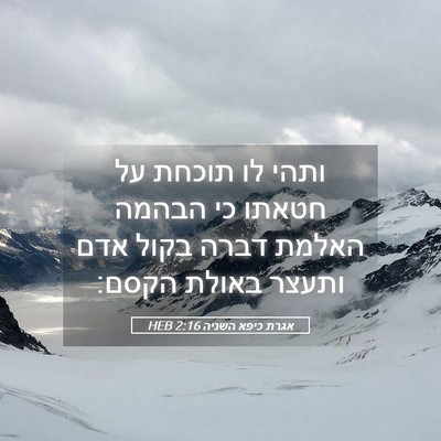 Picture 05 - אגרת כיפא השניה 2:16 HEB - ותהי לו תוכחת על חטאתו כי - Bible Verse Picture
