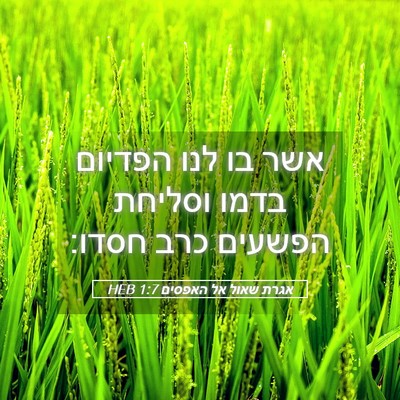 Picture 05 - אגרת שאול אל האפסים 1:7 HEB - אשר בו לנו הפדיום בדמו - Bible Verse Picture