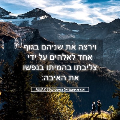 Picture 05 - אגרת שאול אל האפסים 2:16 HEB - וירצה את שניהם בגוף אחד - Bible Verse Picture