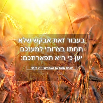 Picture 05 - אגרת שאול אל האפסים 3:13 HEB - בעבור זאת אבקש שלא תחתו - Bible Verse Picture