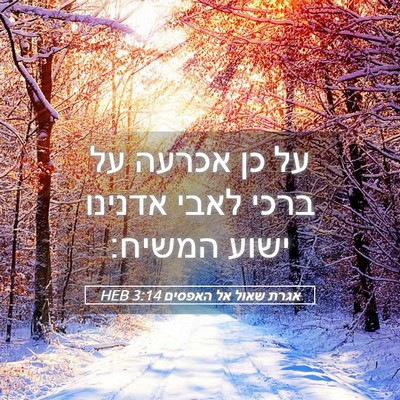 Picture 05 - אגרת שאול אל האפסים 3:14 HEB - על כן אכרעה על ברכי לאבי - Bible Verse Picture
