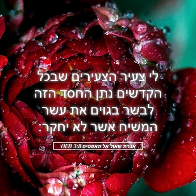 Picture 05 - אגרת שאול אל האפסים 3:8 HEB - לי צעיר הצעירים שבכל - Bible Verse Picture