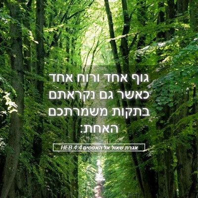 Picture 05 - אגרת שאול אל האפסים 4:4 HEB - גוף אחד ורוח אחד כאשר גם - Bible Verse Picture