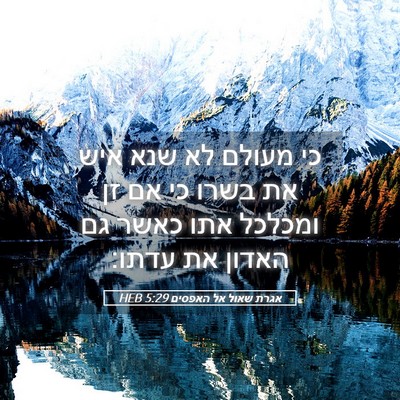Picture 05 - אגרת שאול אל האפסים 5:29 HEB - כי מעולם לא שנא איש את בשרו - Bible Verse Picture