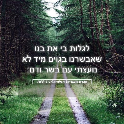 Picture 05 - אגרת שאול אל הגלטים 1:16 HEB - לגלות בי את בנו שאבשרנו - Bible Verse Picture