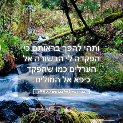 Picture 05 - אגרת שאול אל הגלטים 2:7 HEB - ותהי להפך בראותם כי הפקדה - Bible Verse Picture