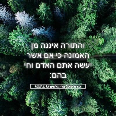 Picture 05 - אגרת שאול אל הגלטים 3:12 HEB - והתורה איננה מן האמונה כי - Bible Verse Picture