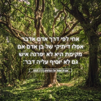 Picture 05 - אגרת שאול אל הגלטים 3:15 HEB - אחי לפי דרך אדם אדבר אפלו - Bible Verse Picture