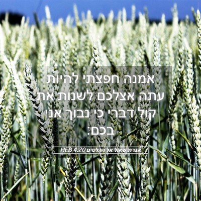 Picture 05 - אגרת שאול אל הגלטים 4:20 HEB - אמנה חפצתי להיות עתה אצלכם - Bible Verse Picture