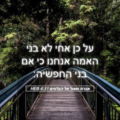 Picture 05 - אגרת שאול אל הגלטים 4:31 HEB - על כן אחי לא בני האמה אנחנו - Bible Verse Picture