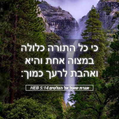 Picture 05 - אגרת שאול אל הגלטים 5:14 HEB - כי כל התורה כלולה במצוה אחת - Bible Verse Picture