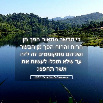 Picture 05 - אגרת שאול אל הגלטים 5:17 HEB - כי הבשר מתאוה הפך מן הרוח - Bible Verse Picture