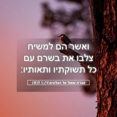 Picture 05 - אגרת שאול אל הגלטים 5:24 HEB - ואשר הם למשיח צלבו את בשרם - Bible Verse Picture