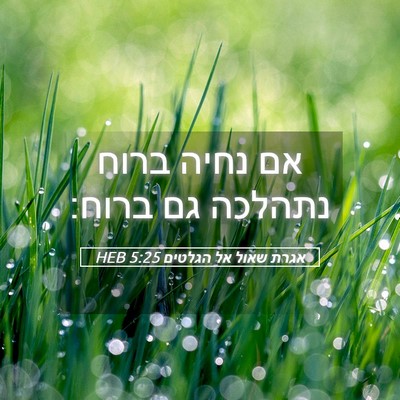 Picture 05 - אגרת שאול אל הגלטים 5:25 HEB - אם נחיה ברוח נתהלכה גם - Bible Verse Picture