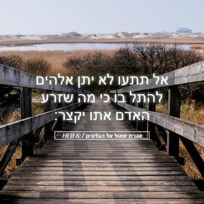 Picture 05 - אגרת שאול אל הגלטים 6:7 HEB - אל תתעו לא יתן אלהים להתל - Bible Verse Picture