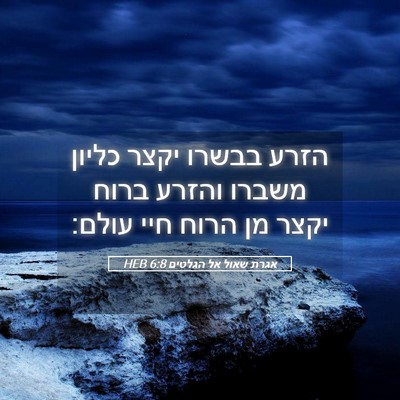 Picture 05 - אגרת שאול אל הגלטים 6:8 HEB - הזרע בבשרו יקצר כליון - Bible Verse Picture