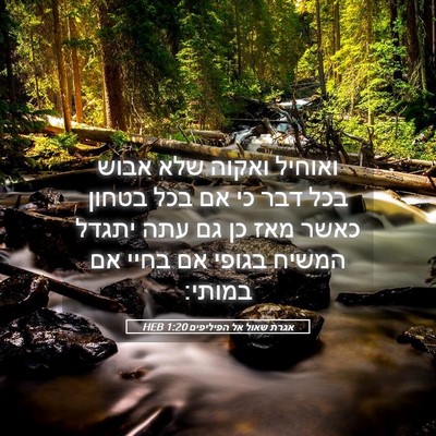 Picture 05 - אגרת שאול אל הפיליפים 1:20 HEB - ואוחיל ואקוה שלא אבוש בכל - Bible Verse Picture