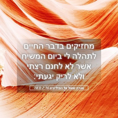 Picture 05 - אגרת שאול אל הפיליפים 2:16 HEB - מחזיקים בדבר החיים לתהלה - Bible Verse Picture