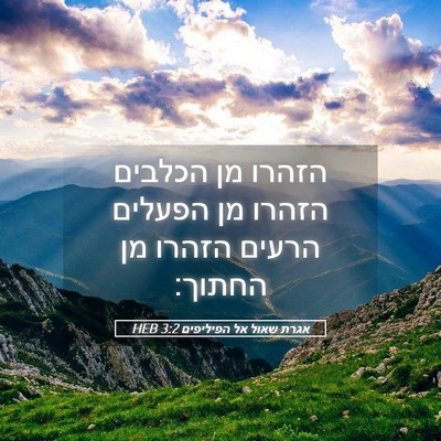 Picture 05 - אגרת שאול אל הפיליפים 3:2 HEB - הזהרו מן הכלבים הזהרו מן - Bible Verse Picture
