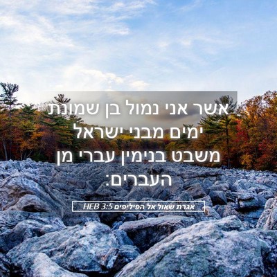 Picture 05 - אגרת שאול אל הפיליפים 3:5 HEB - אשר אני נמול בן שמונת ימים - Bible Verse Picture