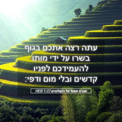 Picture 05 - אגרת שאול אל הקולוסים 1:22 HEB - עתה רצה אתכם בגוף בשרו על - Bible Verse Picture