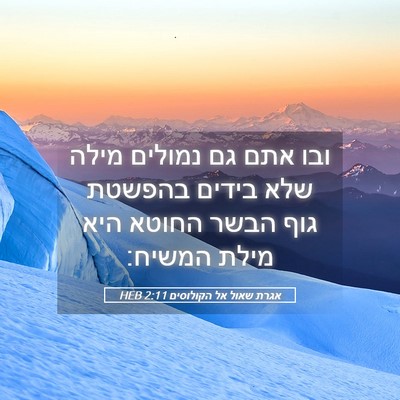 Picture 05 - אגרת שאול אל הקולוסים 2:11 HEB - ובו אתם גם נמולים מילה שלא - Bible Verse Picture