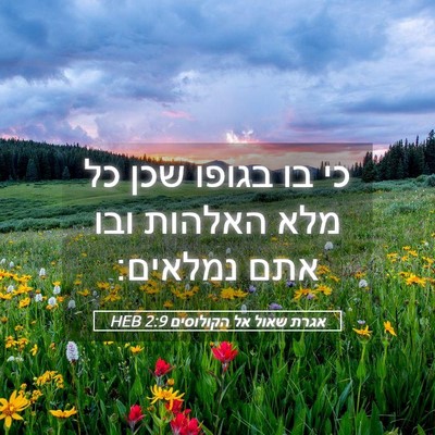 Picture 05 - אגרת שאול אל הקולוסים 2:9 HEB - כי בו בגופו שכן כל מלא - Bible Verse Picture