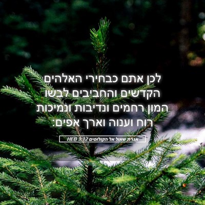 Picture 05 - אגרת שאול אל הקולוסים 3:12 HEB - לכן אתם כבחירי האלהים - Bible Verse Picture